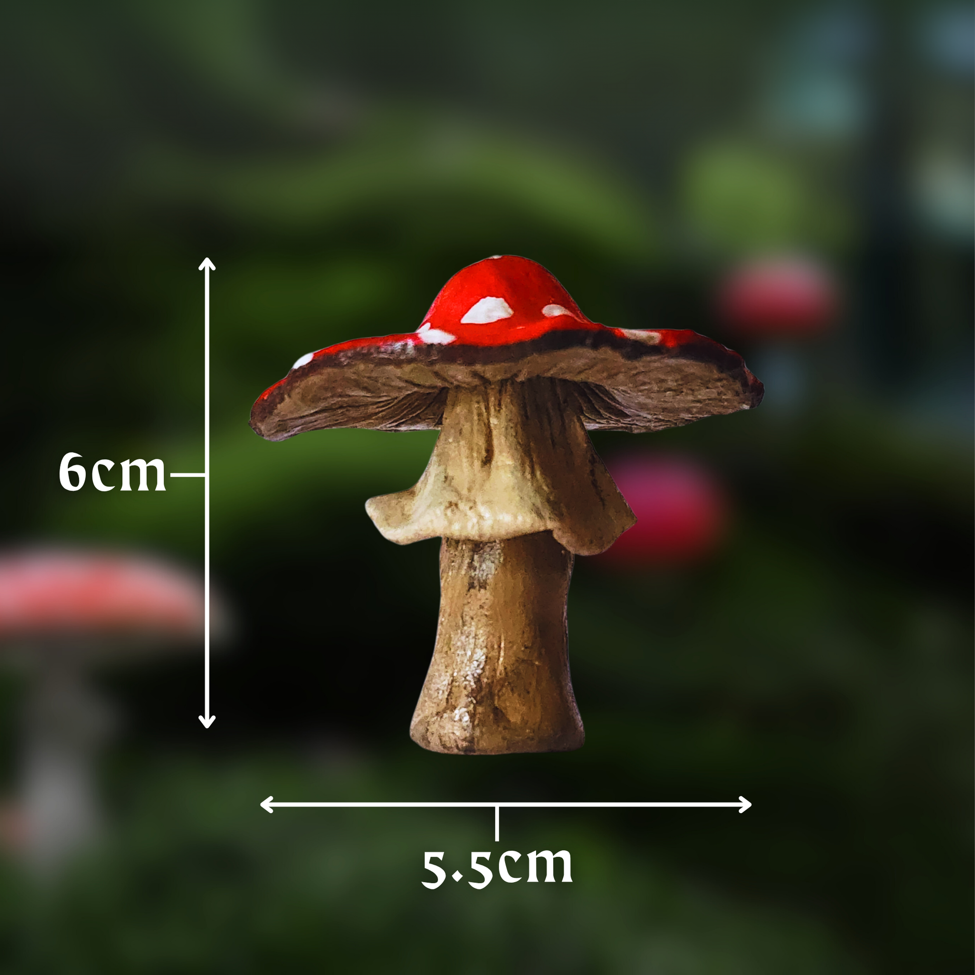 Medium Mushroom