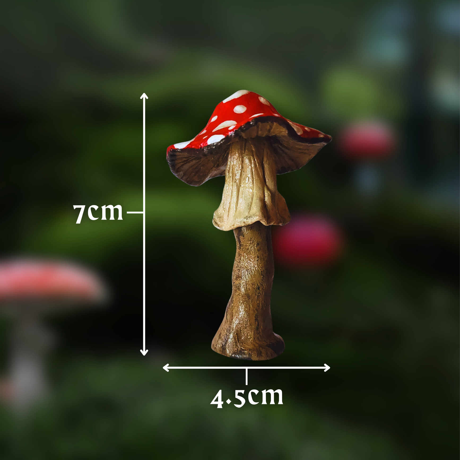 Medium Mushroom