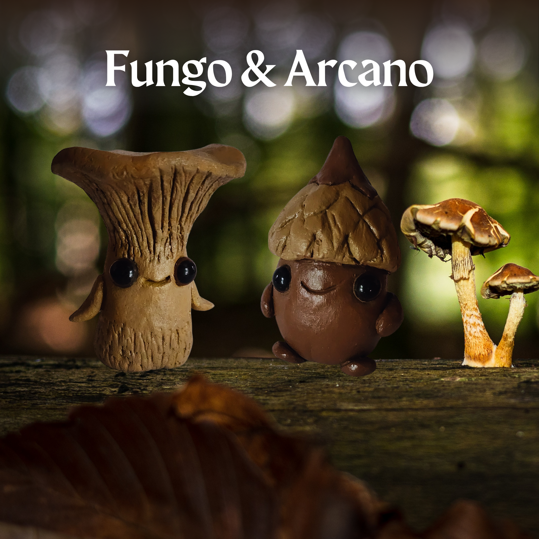 Fungo & Acarno