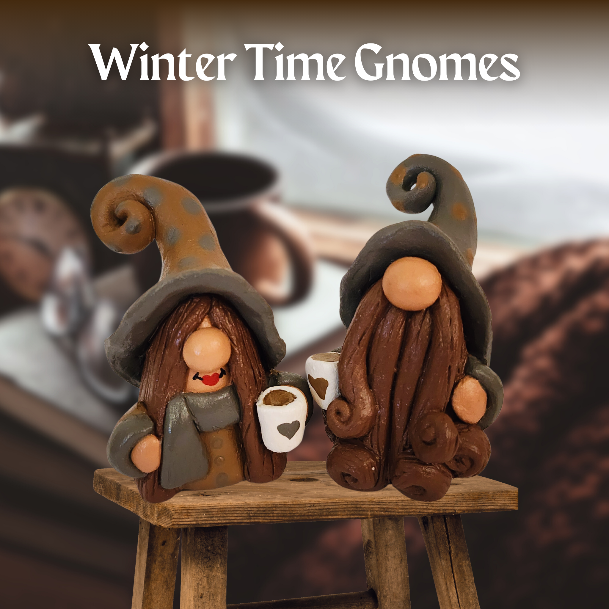 Winter Time Gnomes