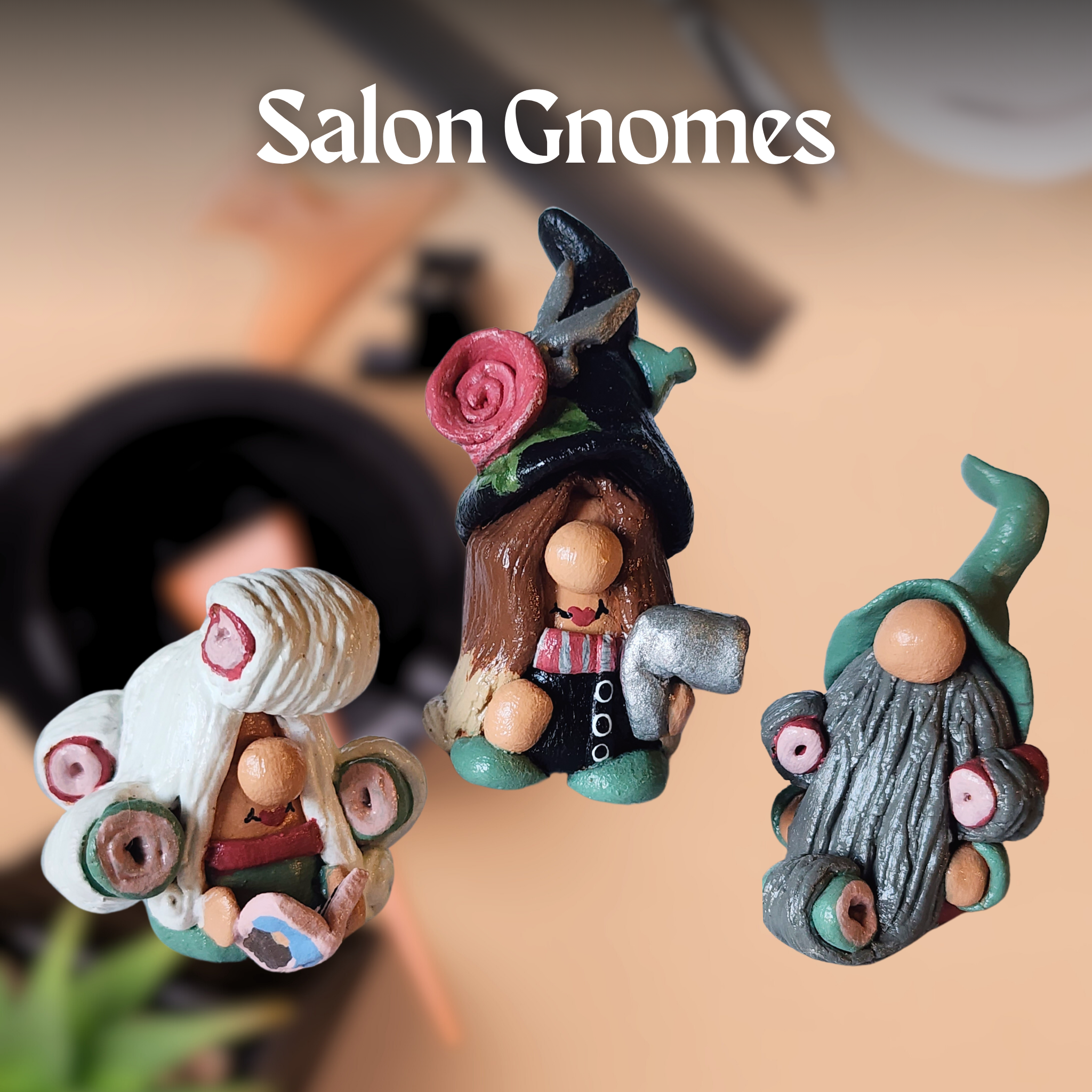 Salon Gnomes