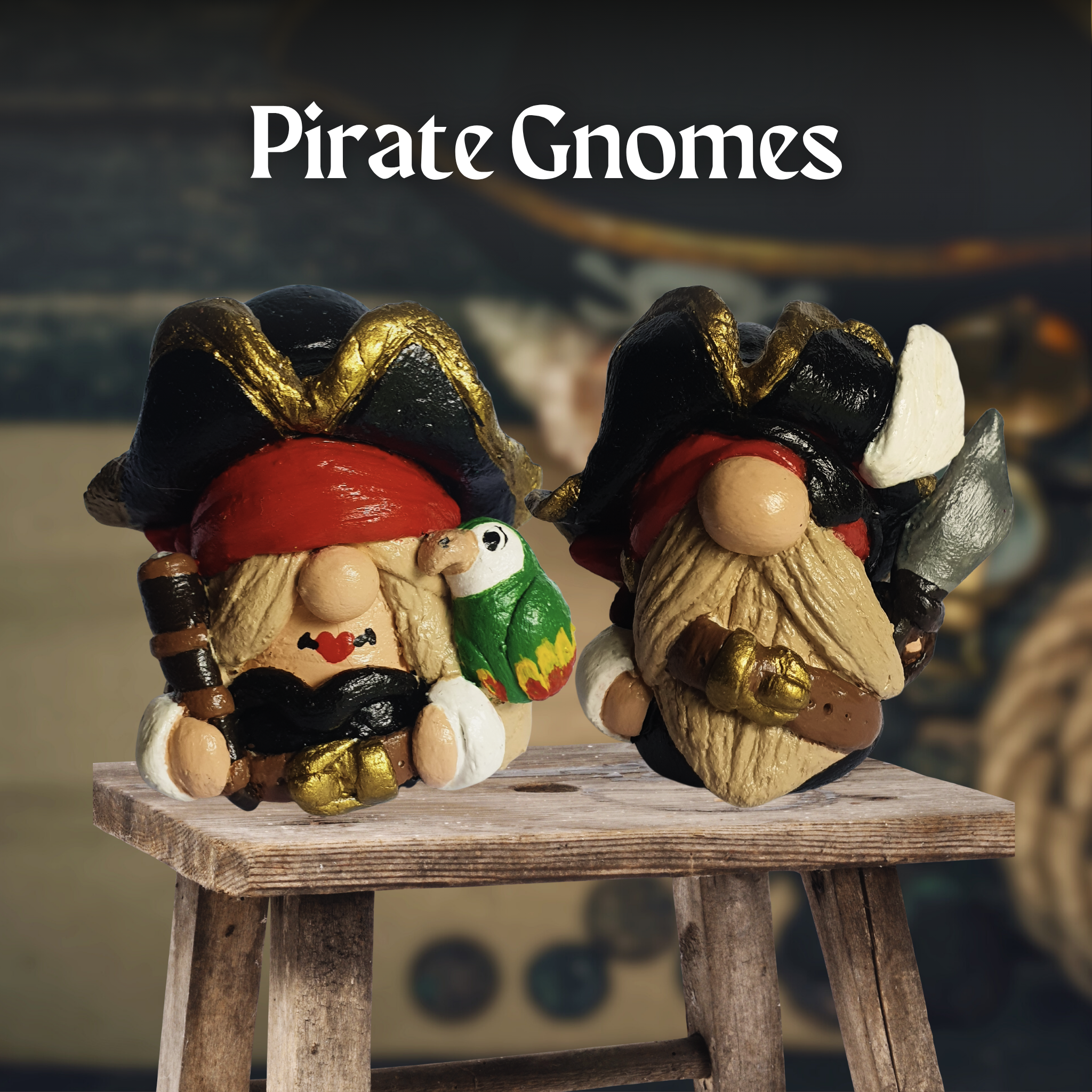Pirate Gnomes