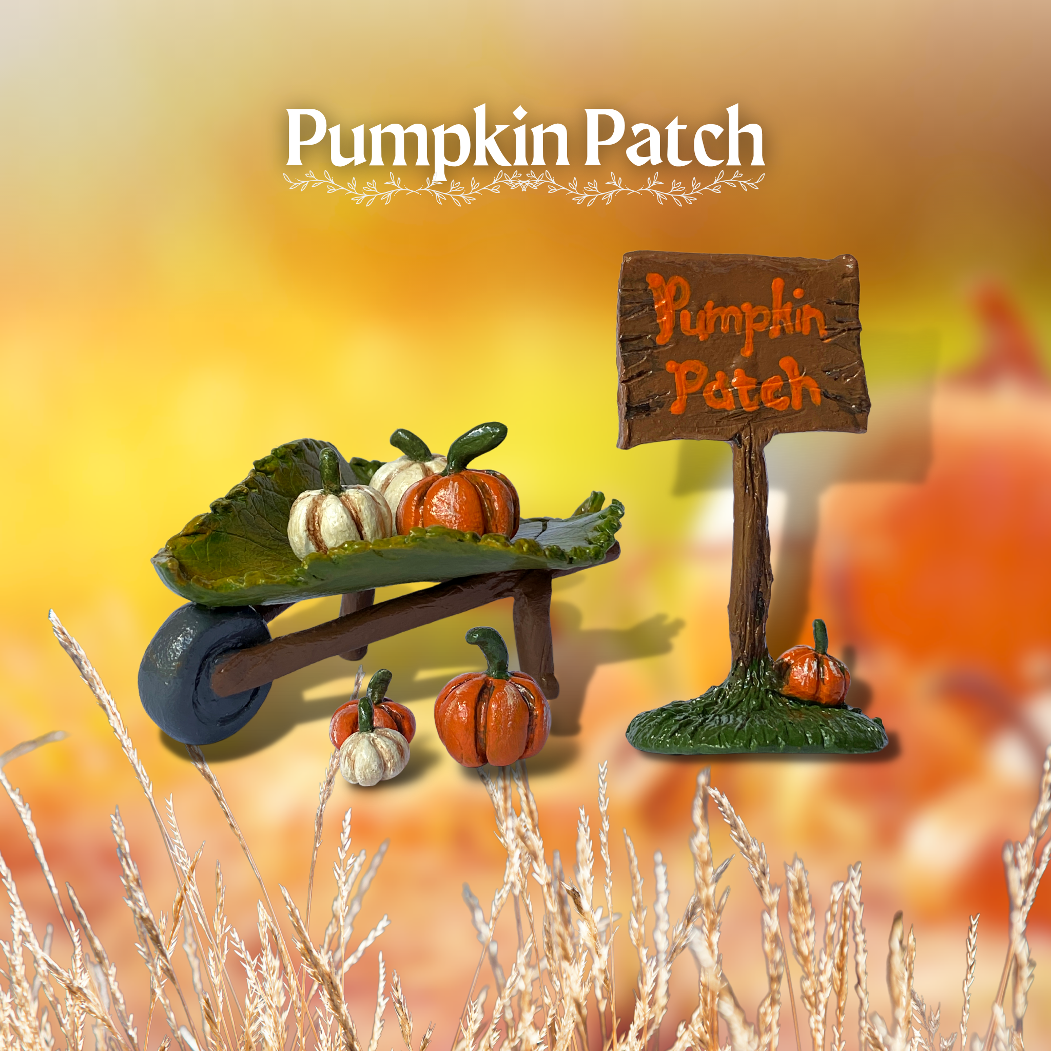 Pumpkin Patch