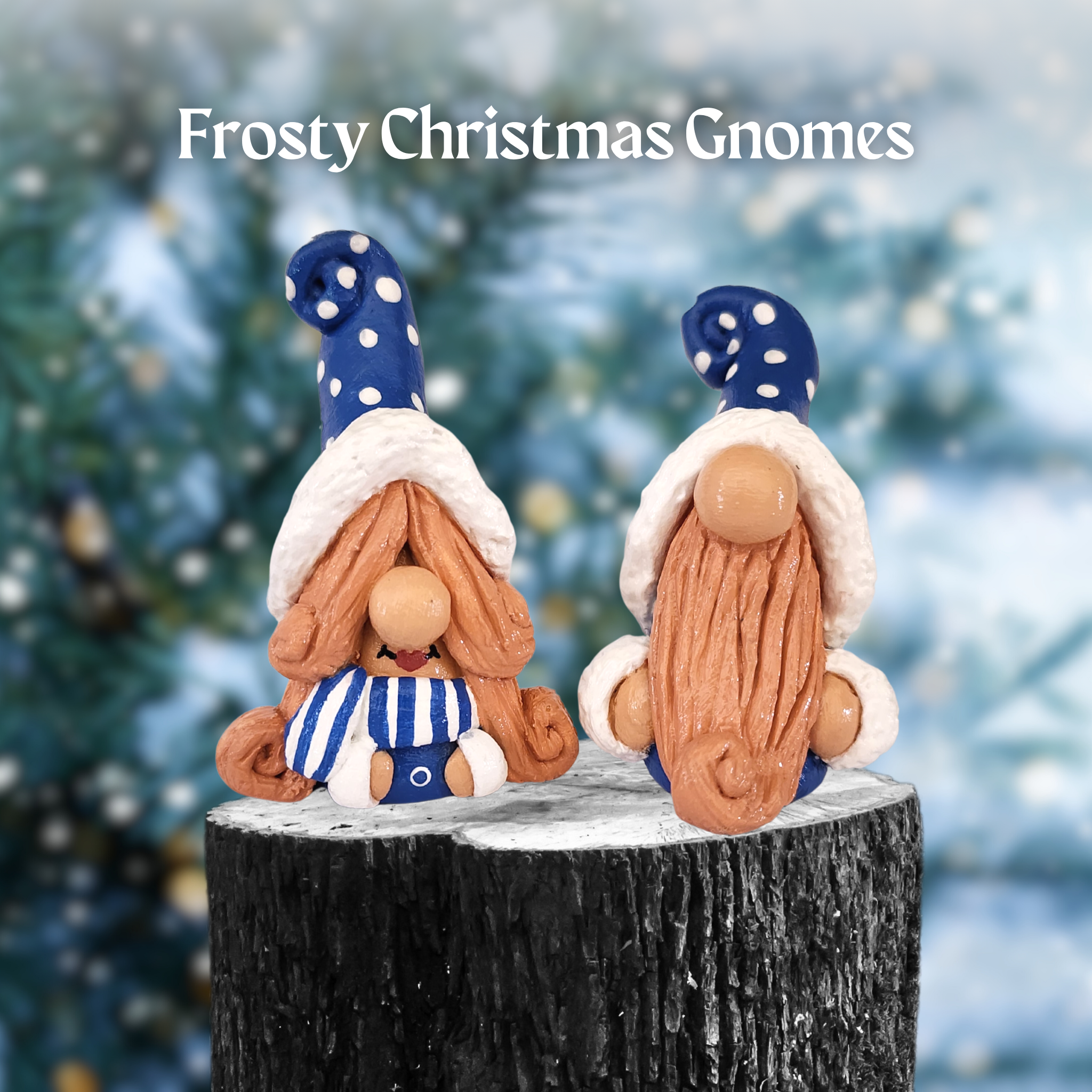 Frosty Christmas Gnomes