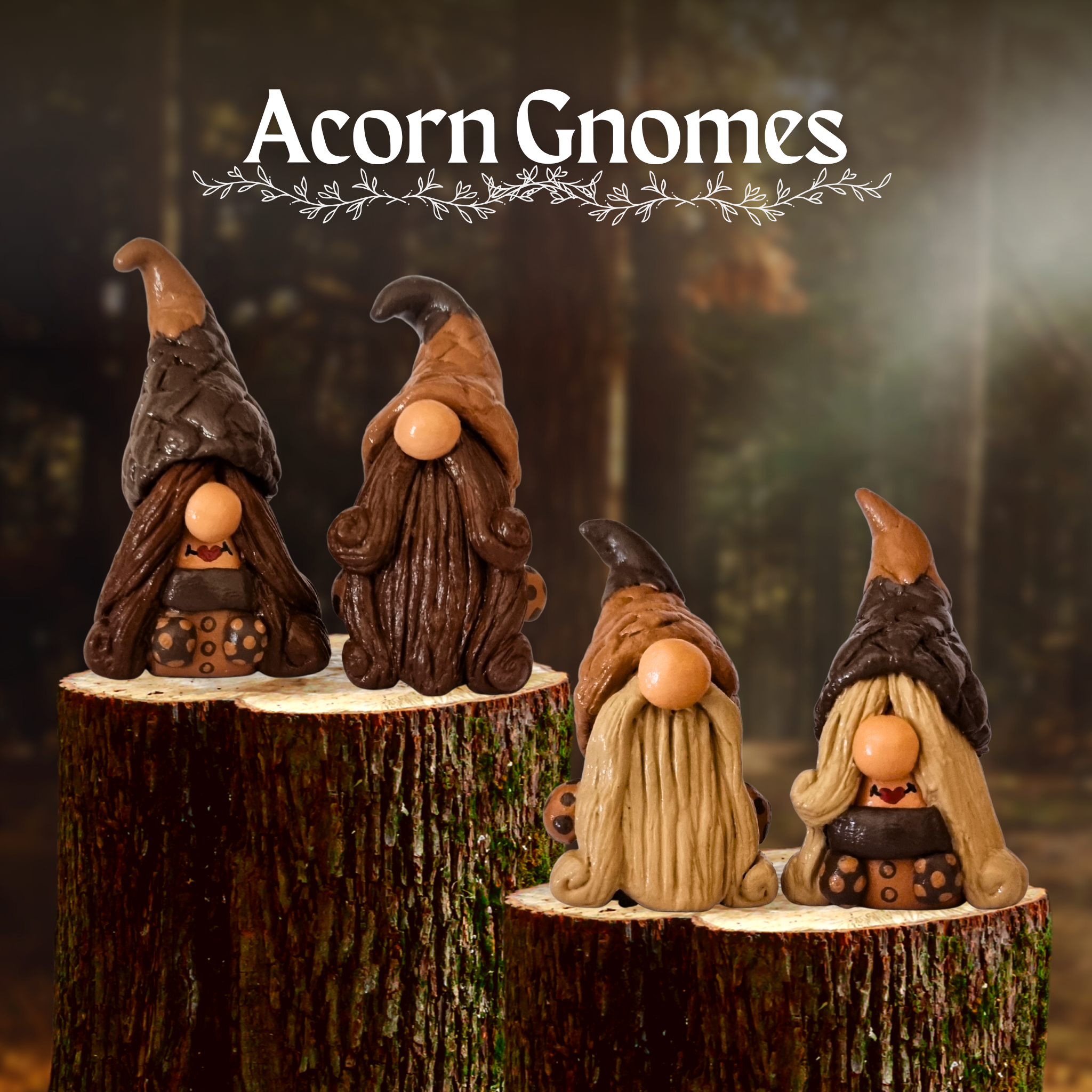 Acorn Gnomes