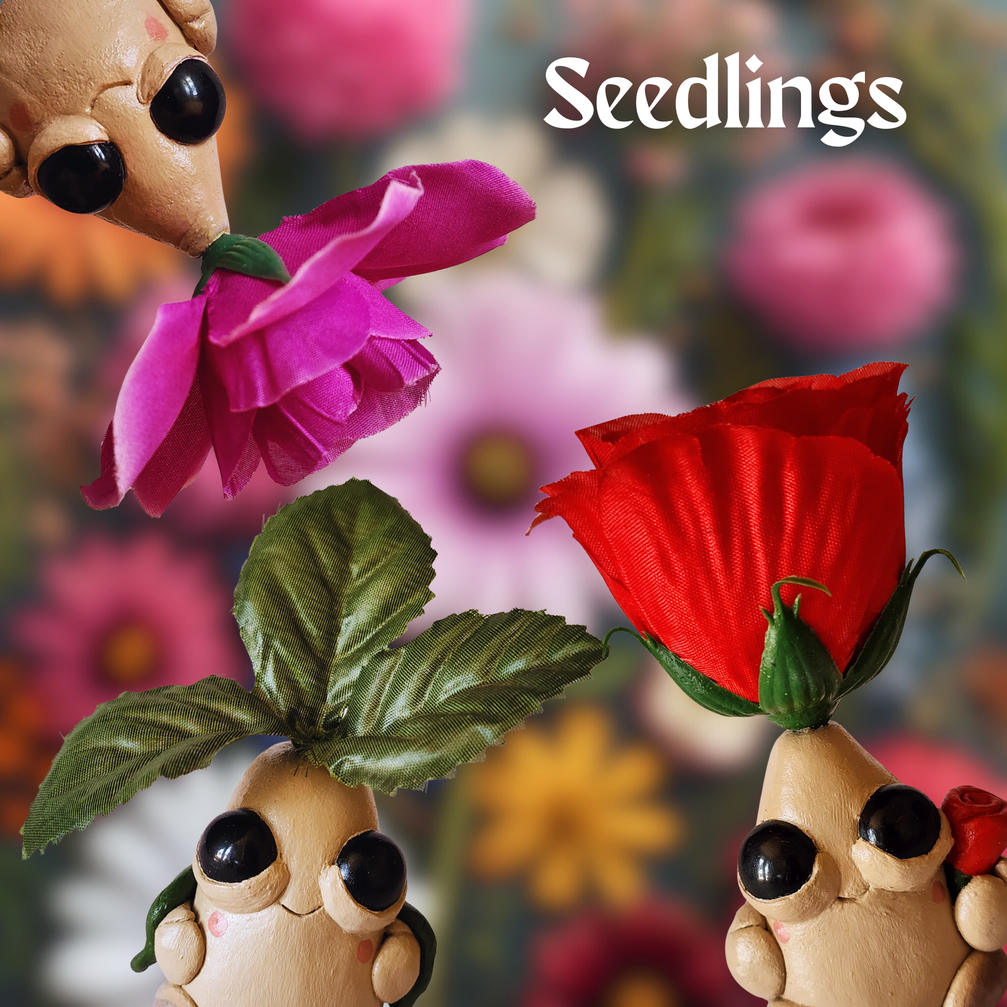 Seedlings