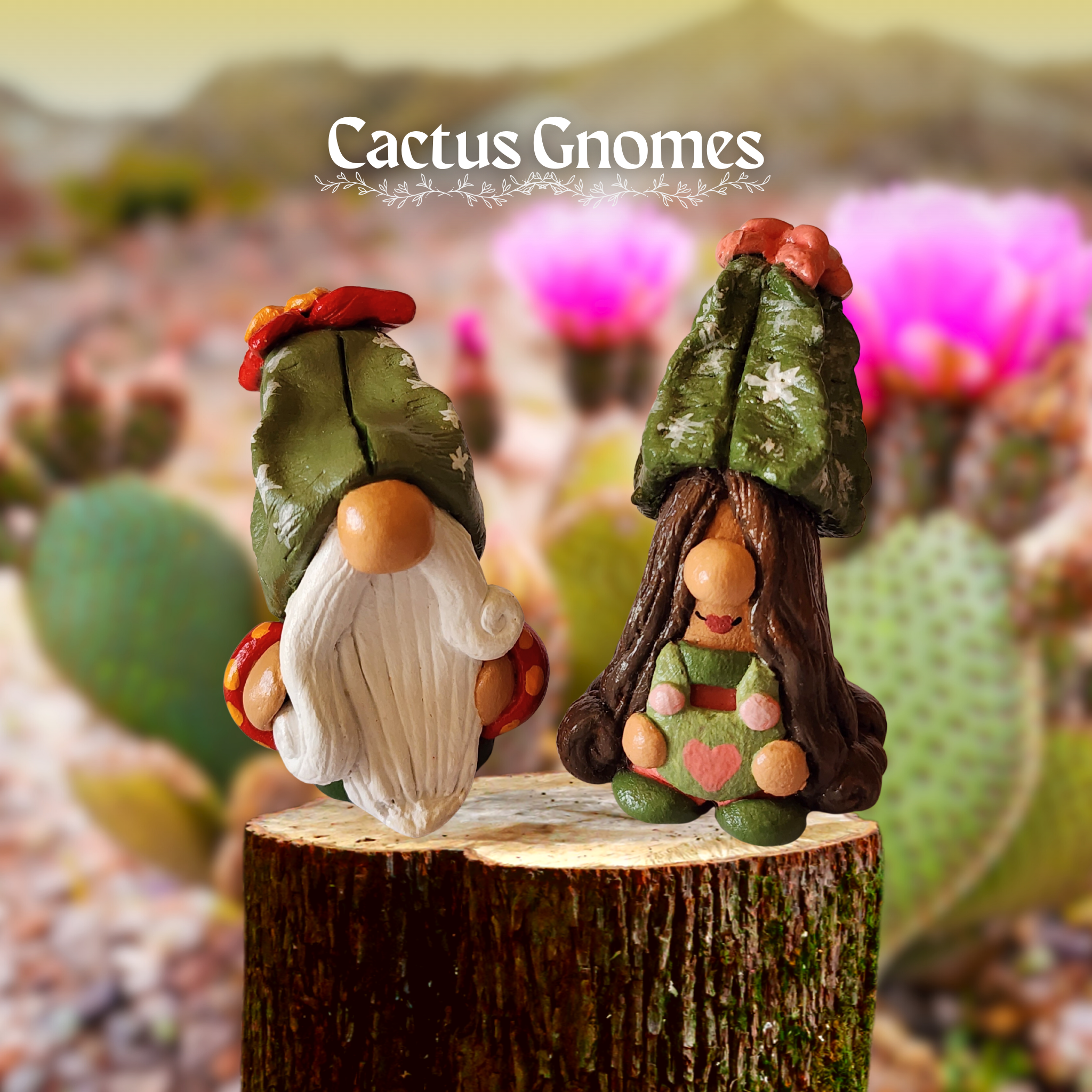 The Cactus Gnomes