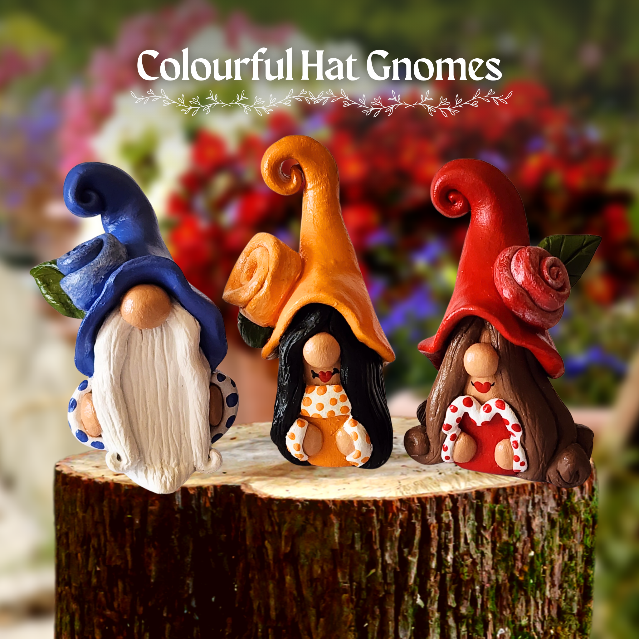 The Colourful Hat Gnomes